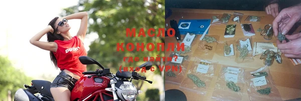 индика Белокуриха