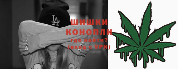 гидра Бородино