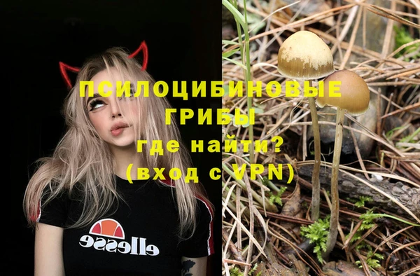 метадон Богданович