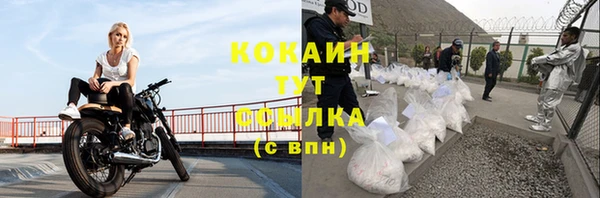 метадон Богданович