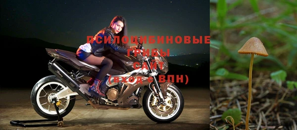 ешки Белоозёрский