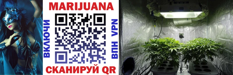 Каннабис Bruce Banner  Вельск 